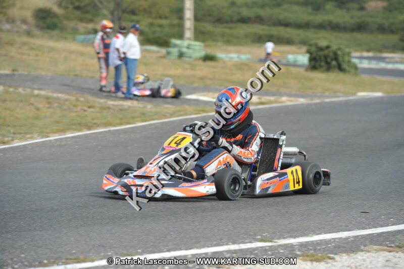 DSC (3643).JPG